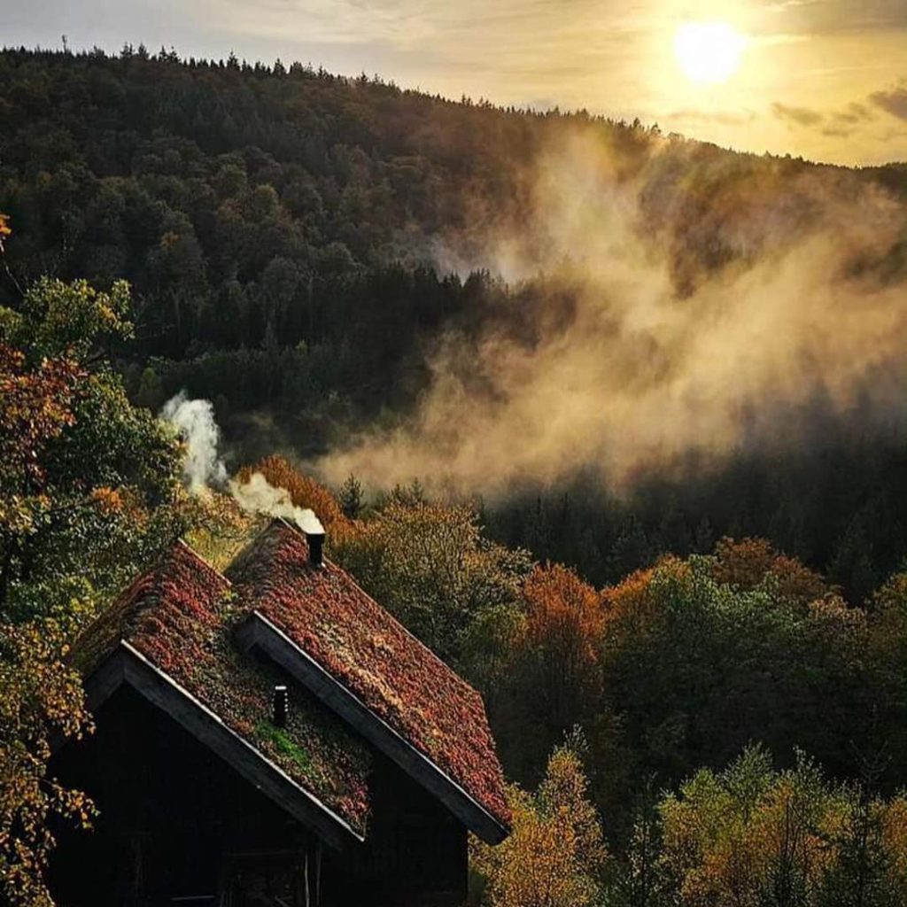 Les Cabanes de Rensiwes, Day van der Korput, Femmvoyage