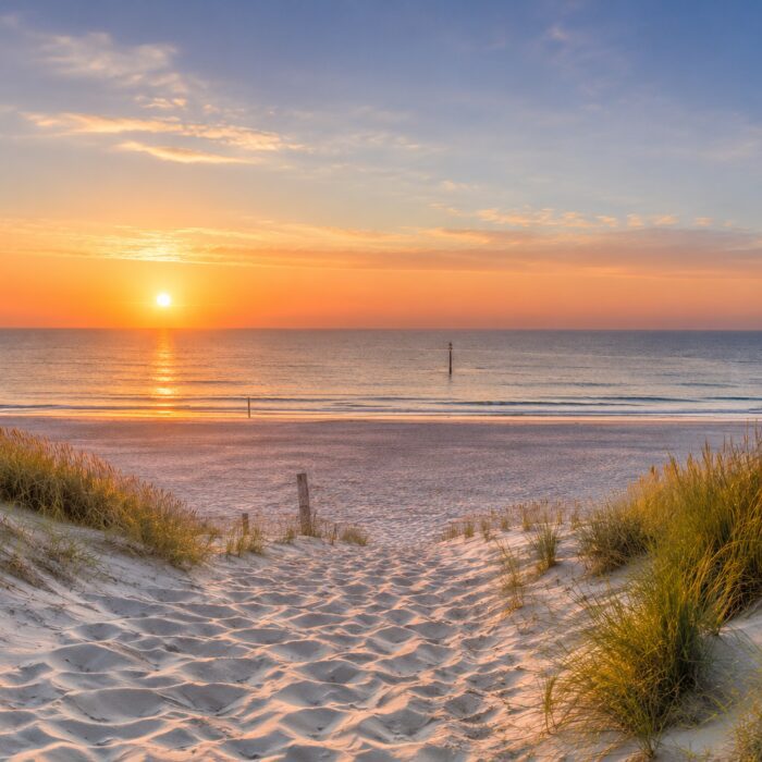 Dutch beach dunes with soft golden sunset light and a calm sea