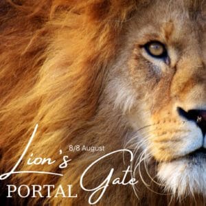 Lion’s gate 8/8 FemmWell