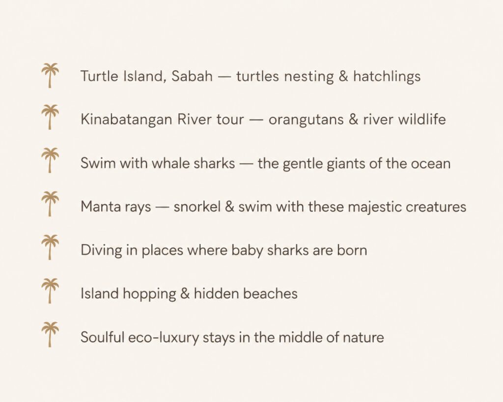 Indonesia travel highlights including turtle island Sabah, Kinabatangan river, whale sharks, manta rays and eco luxury nature stays
