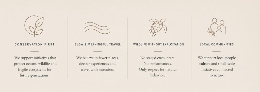 Luxury conservation travel values banner by FemmVoyage focused on wildlife protection, meaningful travel and local communities