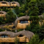 Thatched forest villas of Bisate Lodge surrounded by lush greenery in Rwanda