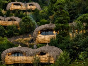 Thatched forest villas of Bisate Lodge surrounded by lush greenery in Rwanda